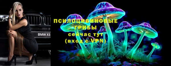 прущая мука Армянск