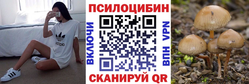 Псилоцибиновые грибы MAGIC MUSHROOMS  Красный Холм 
